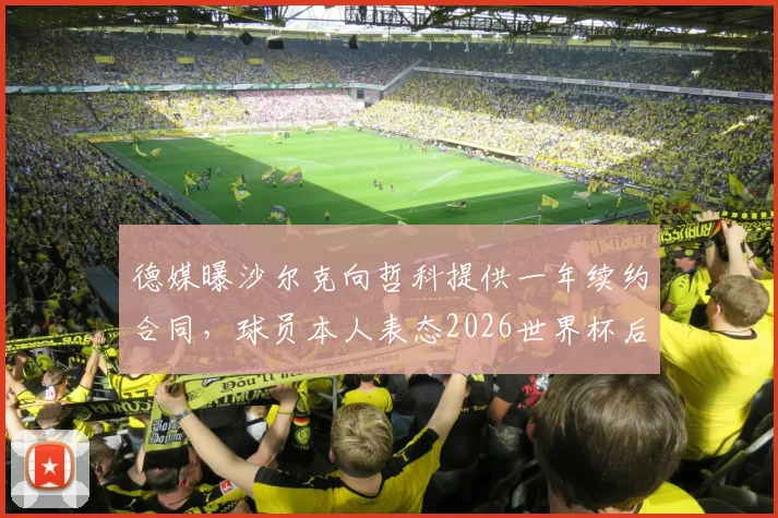 德媒曝沙尔克向哲科提供一年续约合同,球员本人表态2026世界杯后再做决定,最新动态解读