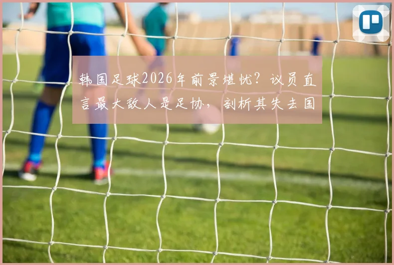 韩国足球2026年前景堪忧？议员直言最大敌人是足协，剖析其失去国民信任的三大弊病